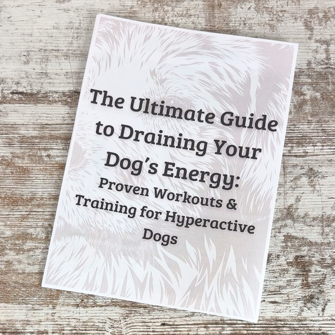 The Secret to a Calm, Happy Dog - Free Today
