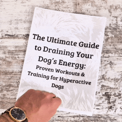 The Secret to a Calm, Happy Dog - Free Today