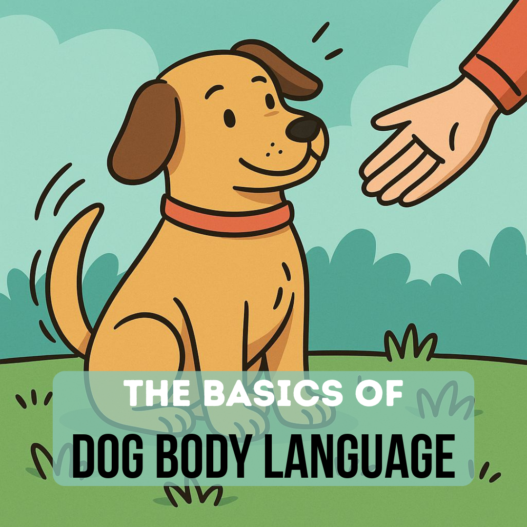 The Basics of Dog Body Language Guide